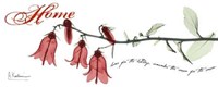 Campanula Home