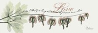 Bleeding Heart Love 