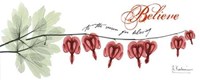 Bleeding Heart Believe 