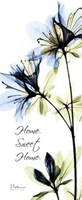 Blue Azalea Home 