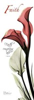 Calla Lily in Red Faith