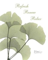 Ginkgo in Green Mind Body