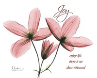 Clematis Joy