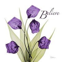 Believe