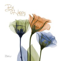 Gentian Be Happy 