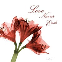 Amaryllis Quote