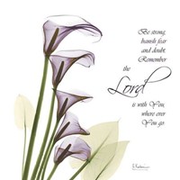 Calla Lilies Remember 