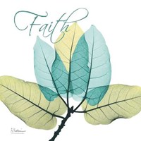 Faith Ficus Burkey 