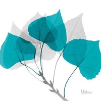 Aspen Teal E143 