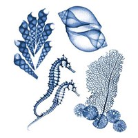 Blue Assortment One 