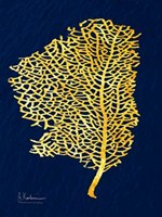 Golden Sea Fan 