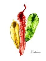 Peppers Picante