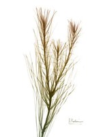 Autumn Botanical