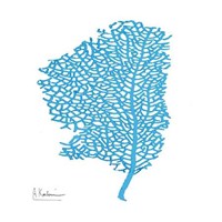 Cobalt Sea Fan 2 