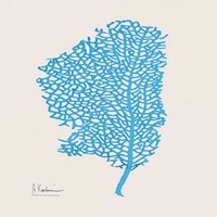 Cobalt Sea Fan 