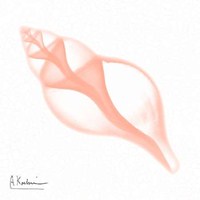 Dry Shell Peach 