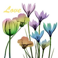 Floral Rainbow Love 