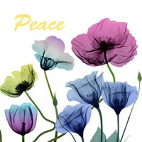 Floral Rainbow Peace 