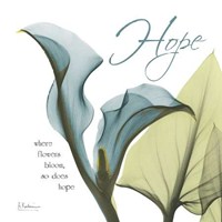 Calla Hope