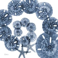 Collage of Sand Dollars and Starfish