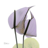 A Gift of Flowers in Lavender