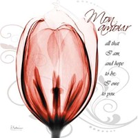 Happy Tulip in Red Mon Amour