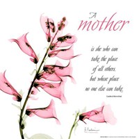 Fox glove Mother 