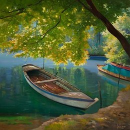 Barca sul fiume 