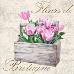 Fleurs de Bretagne 