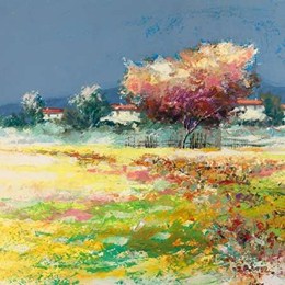 Albero nel prato 