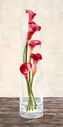 Arrangement of callas 