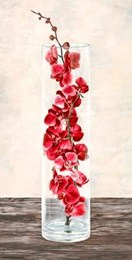 Arrangement of orchids 