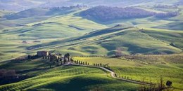 A road in Tuscany 