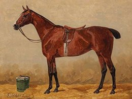 Bay in a stable 