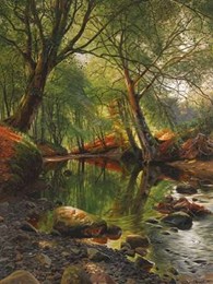 A woodland stream 