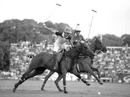 Polo players, Argentina 