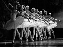 Swan Lake ballet 