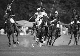 Polo players, New York 