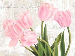 Academie des Fleurs 