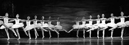 Swan Lake ballet 