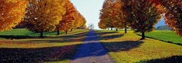 Autumn Road, Storm King Mountain, New York 